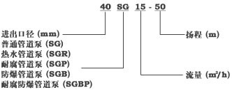 SG��ѭ�h(hu��n)���������� ��̖(h��o)�f��