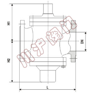 ZLF����ʽƽ���y,�Y(ji��)��(g��u)�D
